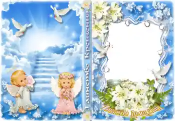 Effett tar-ritratti mill-kategorija Qoxra tad-DVD № 178250. Kitba fuq il-qafas: Magħmudija