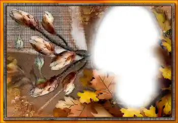 Effett tar-ritratti mill-kategorija Varji № 205533