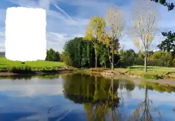 Effett tar-ritratti mill-kategorija Sajf № 114455