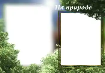Effett tar-ritratti mill-kategorija Sajf № 182141. Kitba fuq il-qafas: In-natura Effett tar-ritratti mill-kategorija Sajf № 182141. Kitba fuq il-qafas: In-natura