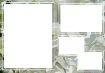 Effett tar-ritratti mill-kategorija Gwarnituri tar-ritratti tan-nisa № 205789 Effett tar-ritratti mill-kategorija Gwarnituri tar-ritratti tan-nisa № 205789